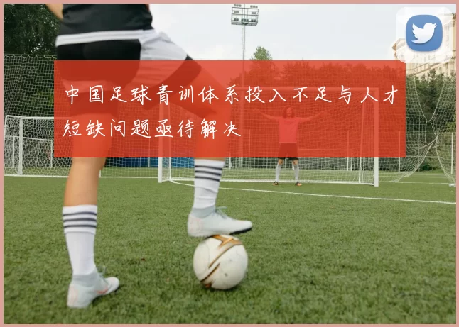 中国足球青训体系投入不足与人才短缺问题亟待解决
