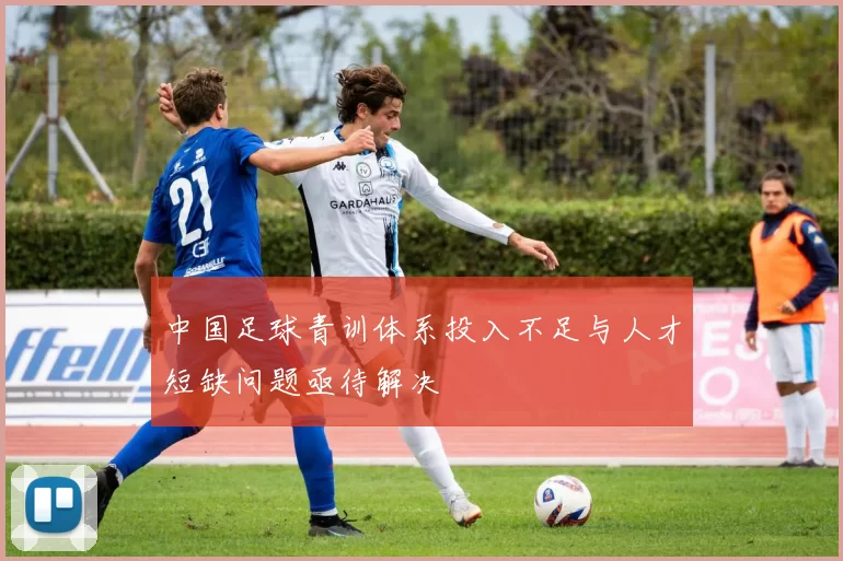 中国足球青训体系投入不足与人才短缺问题亟待解决