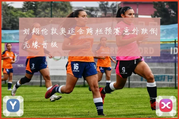 刘翔伦敦奥运会跨栏预赛意外跌倒无缘晋级