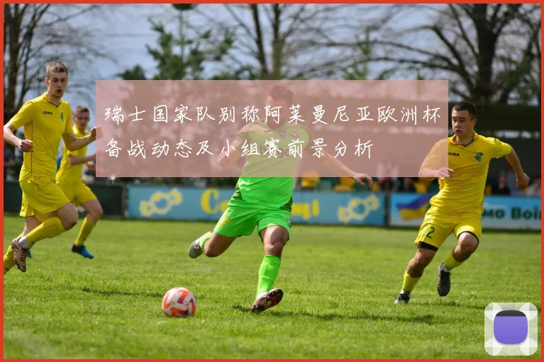 瑞士国家队别称阿莱曼尼亚欧洲杯备战动态及小组赛前景分析