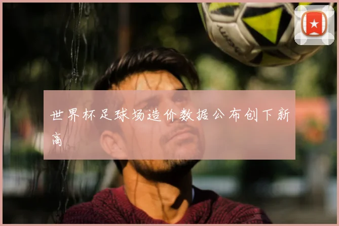 世界杯足球场造价数据公布创下新高