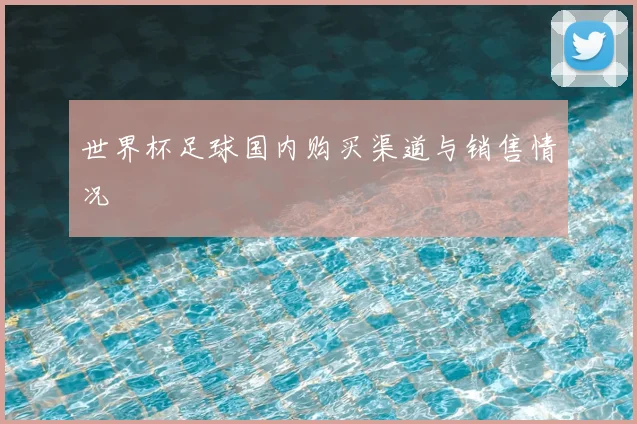 世界杯足球国内购买渠道与销售情况