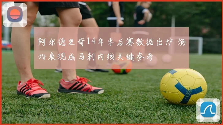 阿尔德里奇14年季后赛数据出炉 场均表现成马刺内线关键参考